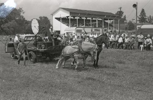 Horse Pulling at Boonville Fair