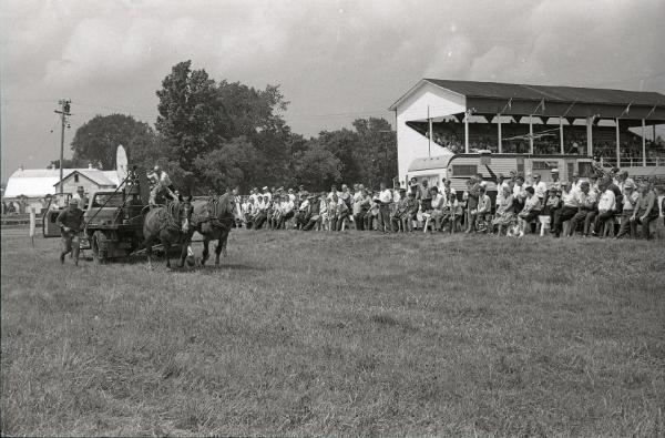 Horse Pulling at Boonville Fair