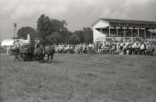 Horse Pulling at Boonville Fair