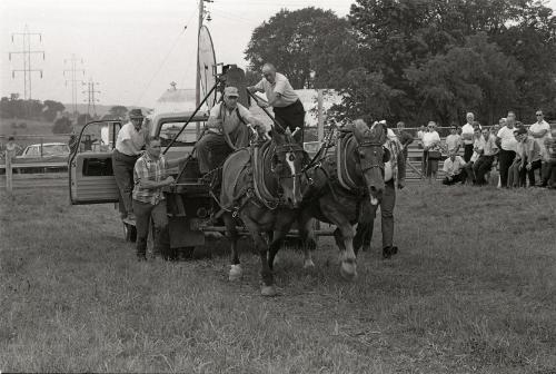 Horse Pulling at Boonville Fair