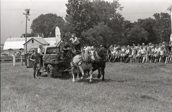 Horse Pulling at Boonville Fair