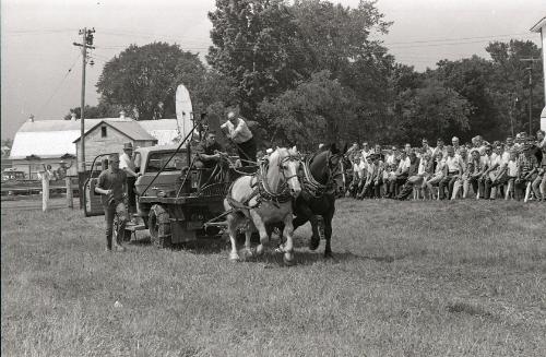 Horse Pulling at Boonville Fair