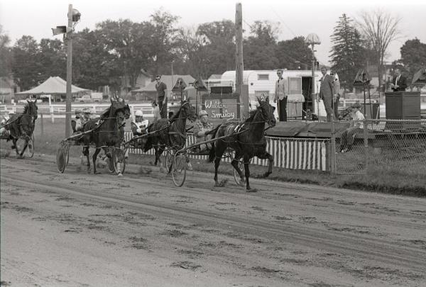 Horse Pulling at Boonville Fair