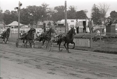 Horse Pulling at Boonville Fair