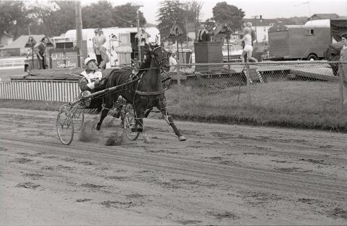 Horse Pulling at Boonville Fair
