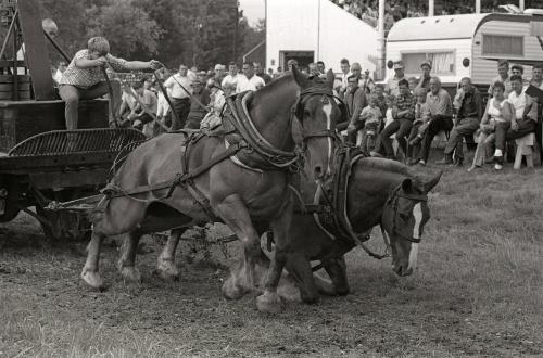 Horse Pulling at Boonville Fair