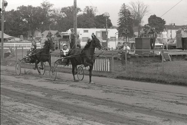 Horse Pulling at Boonville Fair