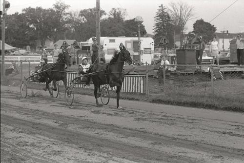 Horse Pulling at Boonville Fair