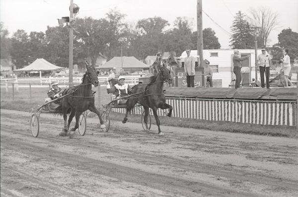 Horse Pulling at Boonville Fair
