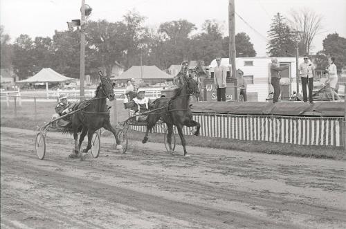 Horse Pulling at Boonville Fair