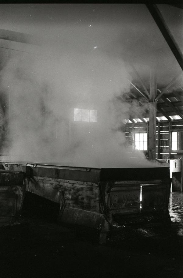 Yancey's Sugar Bush