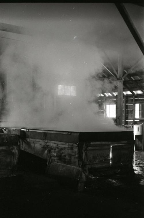 Yancey's Sugar Bush