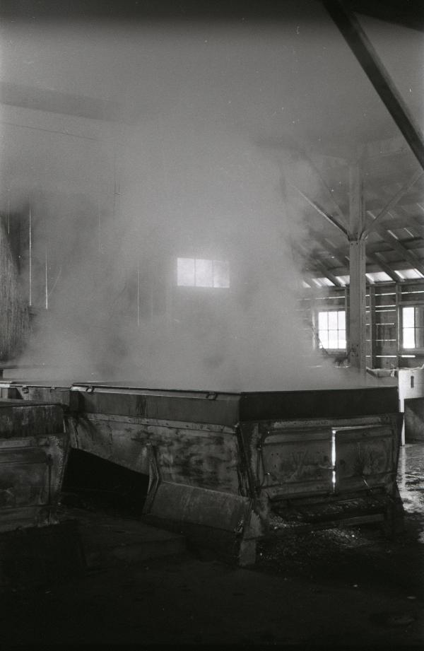 Yancey's Sugar Bush