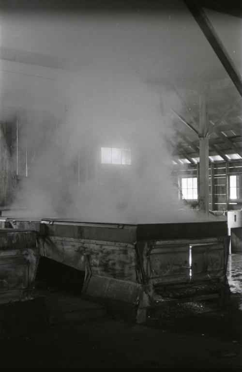 Yancey's Sugar Bush