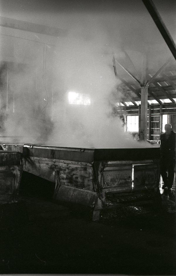 Yancey's Sugar Bush