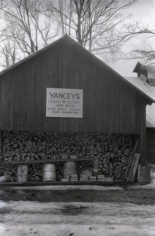 Yancey's Sugar Bush