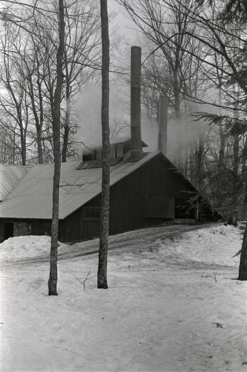 Yancey's Sugar Bush