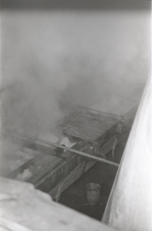 Yancey's Sugar Bush