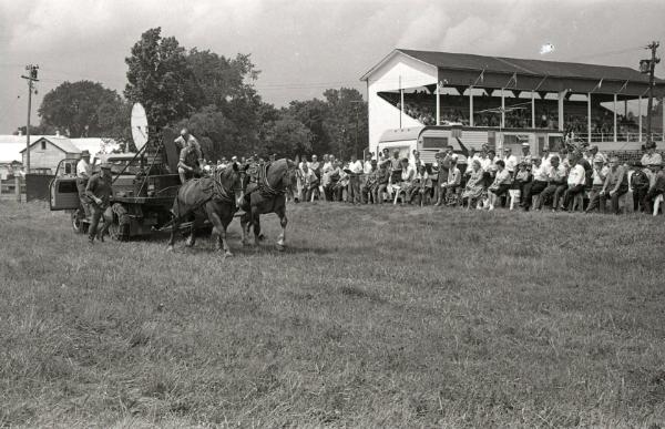 Horse Pull Boonville