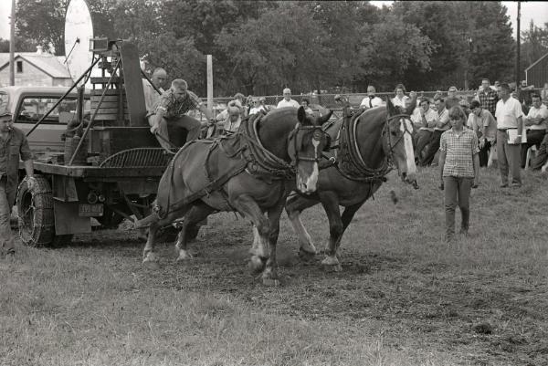 Horse Pull Boonville