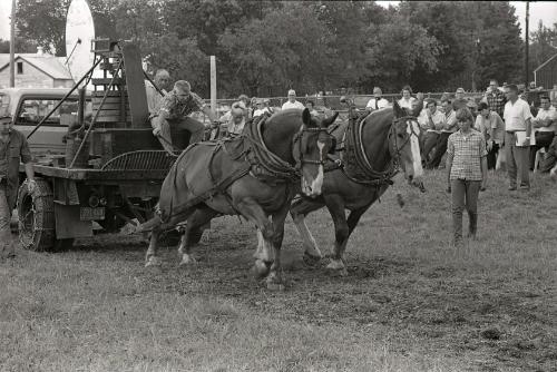 Horse Pull Boonville