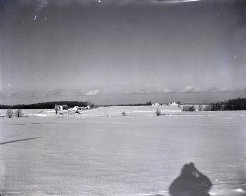 Winter Scene