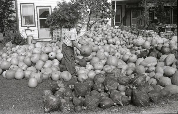 Farm Harvest