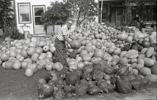 Farm Harvest