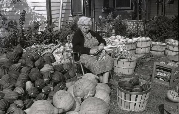 Farm Harvest