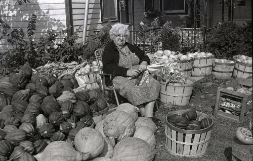 Farm Harvest