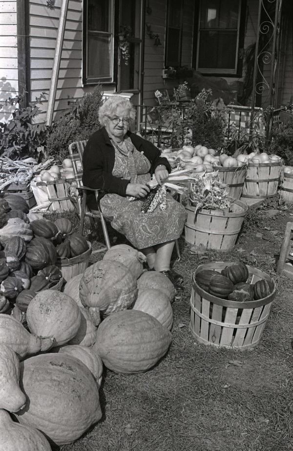 Farm Harvest