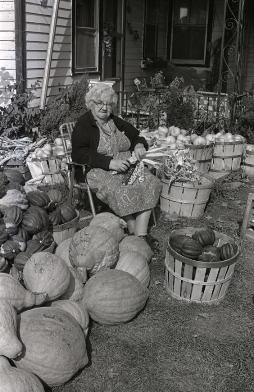 Farm Harvest