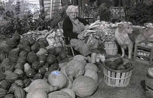 Farm Harvest