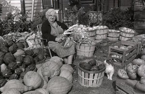 Farm Harvest