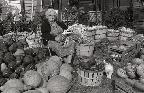 Farm Harvest