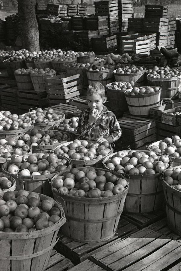 Farm Harvest