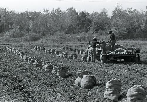 Farm Harvest