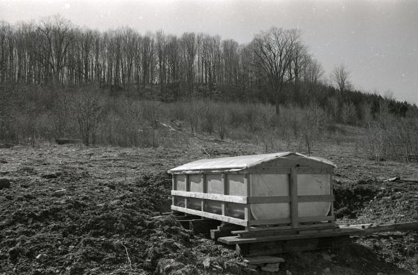 Maple Sugaring