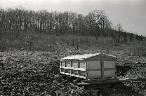 Maple Sugaring