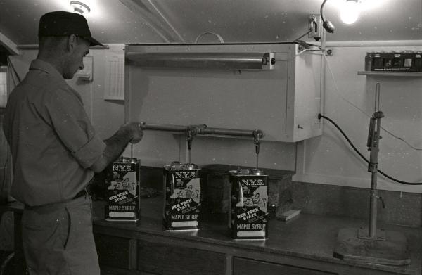 Maple Sugaring