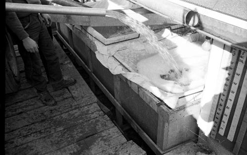 Maple Sugaring