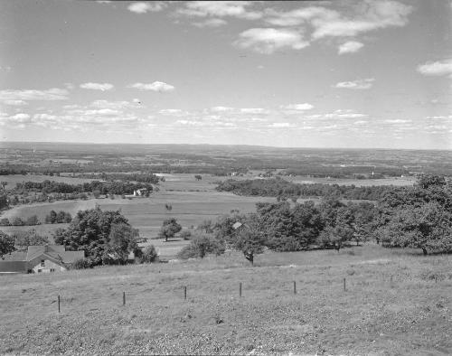 Crow Hill