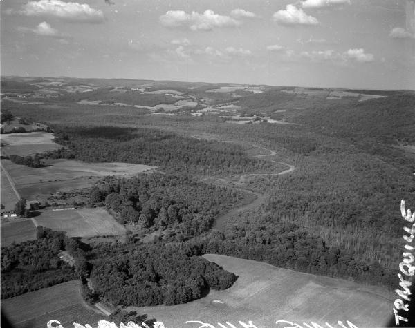 Nine Mile Swamp