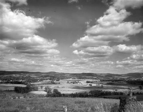 Countryside Scenes