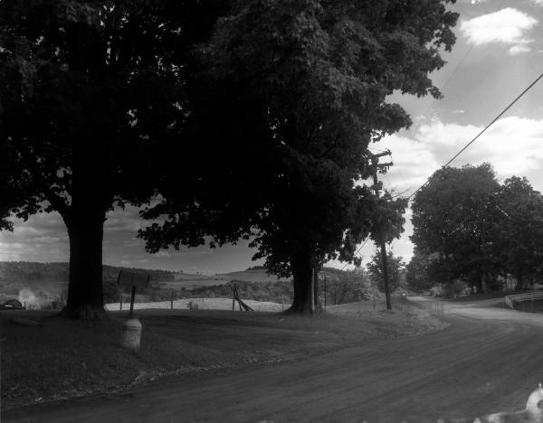 Countryside Scenes