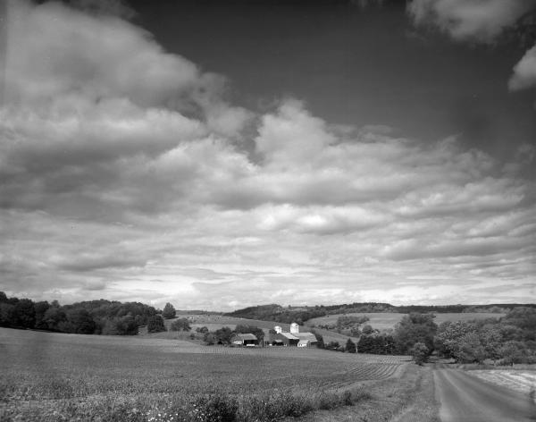 Countryside Scenes