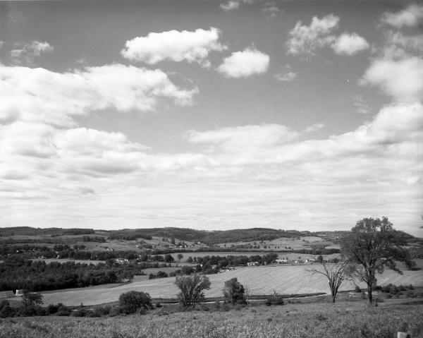 Countryside Scenes