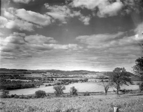 Countryside Scenes