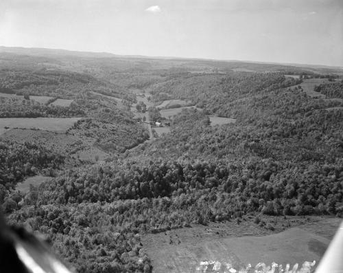 Landscapes - Frankfort Gorge, New York