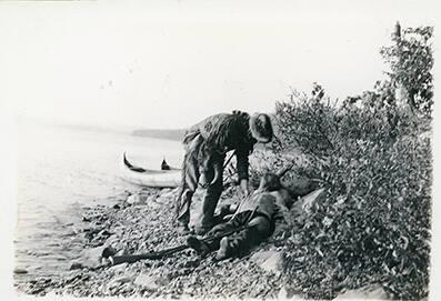 Examining the Wounded